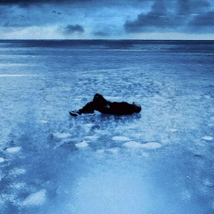 骚虎视频在线观看
