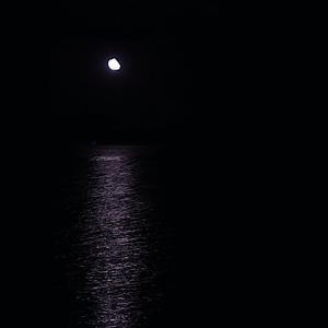 骚虎视频在线观看
