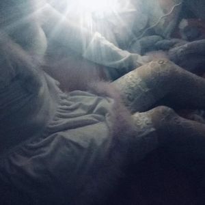 骚虎视频在线观看
