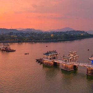 骚虎视频在线观看
