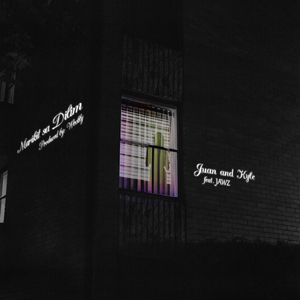 骚虎视频在线观看
