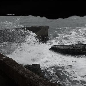 骚虎视频在线观看
