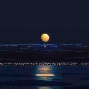 骚虎视频在线观看
